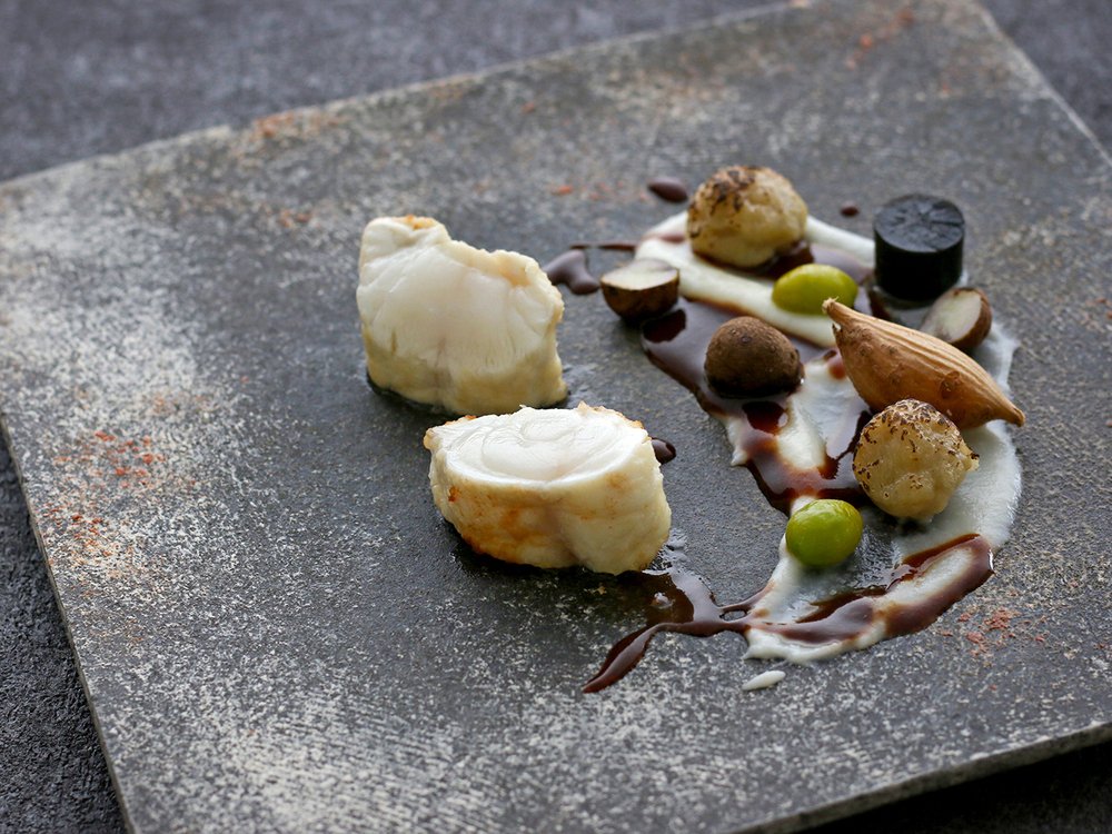 [Awaji Island's Winter Delicacies] Experience "Awaji Island 3-Year-Old Tiger Pufferfish & Awaji Wagyu Beef" in an Innovative Style