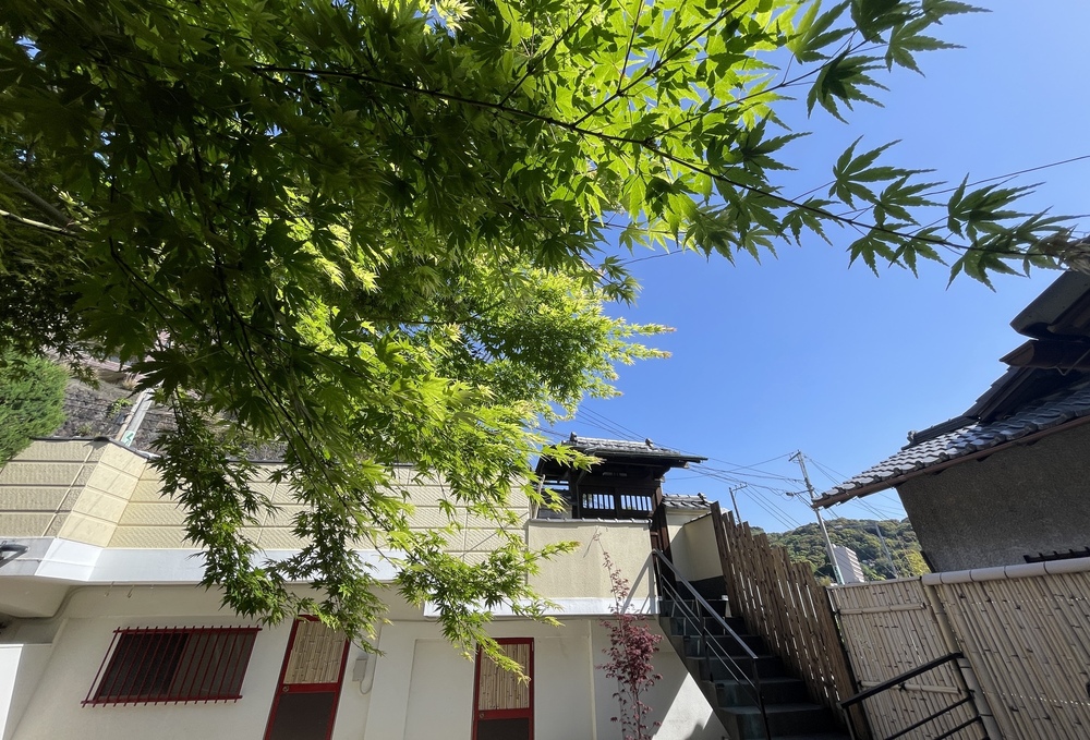 【30時間ステイ始動】羽衣楼の「新しい物語」を共に創る。6月末までの特別なモニター価格プラン