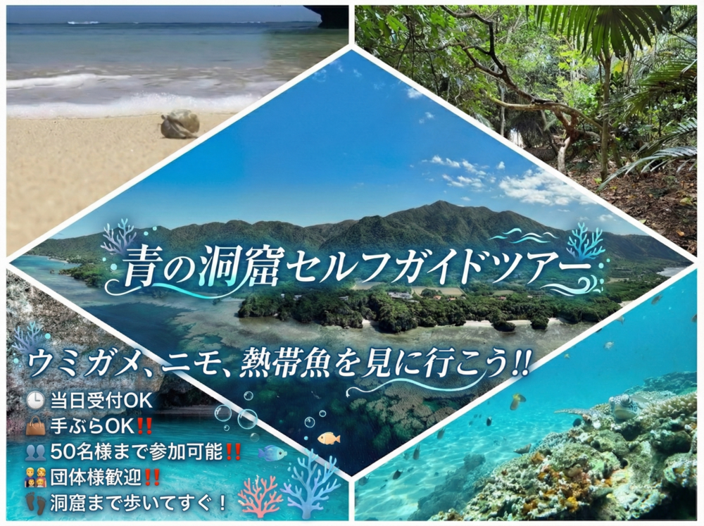 青の洞窟セルフガイドツアー