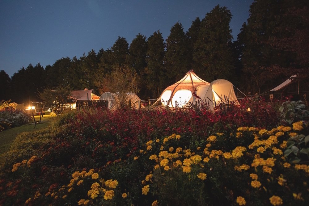 【10％OFF】星降る夜★絶景の星空を眺めてホットドリンクでほっと一息／2食付