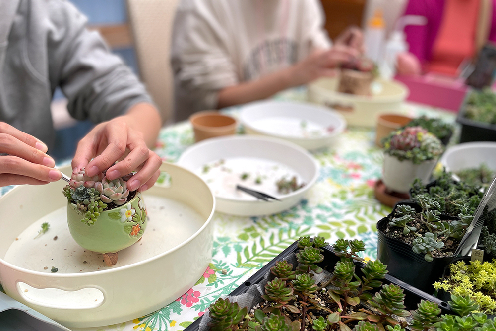 【日帰り｜体験】多肉植物寄せ植え講習会【10:00開始】