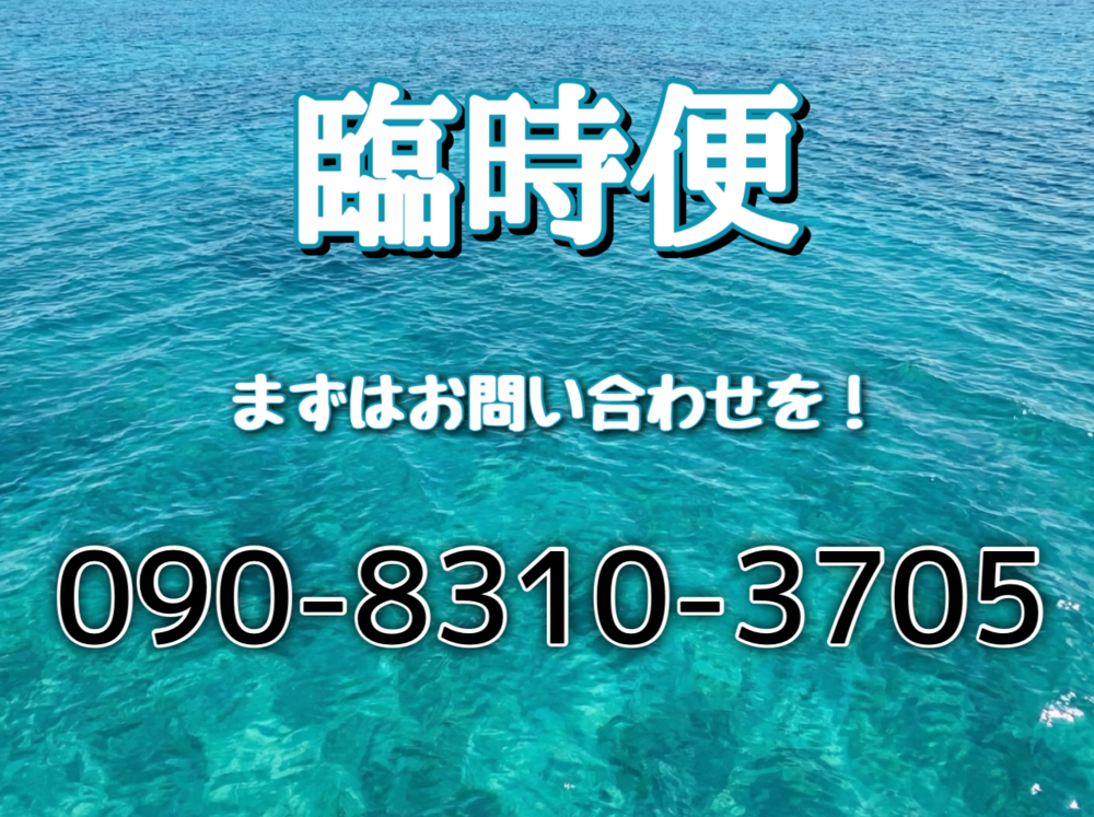 臨時便：青の洞窟ガイドツアー【ガイド同行】