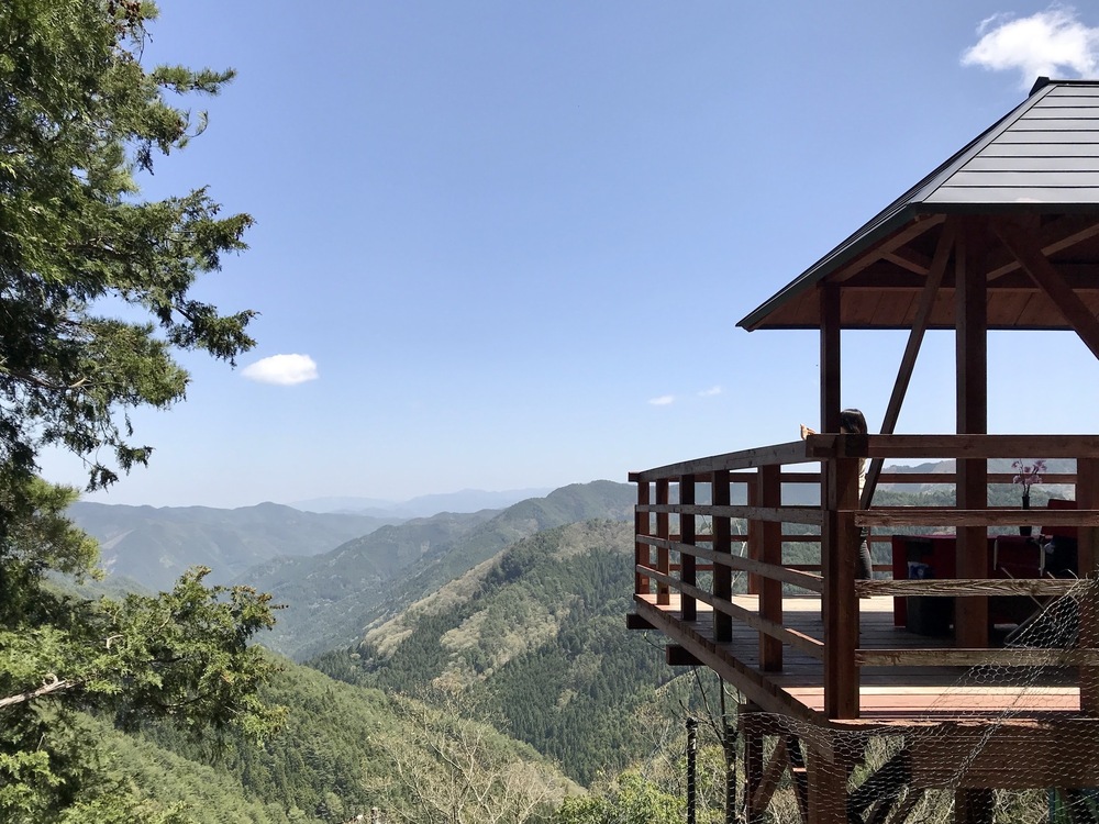 Koyasan: Okunoin & Forest Walk — Scenic Lunch Tour