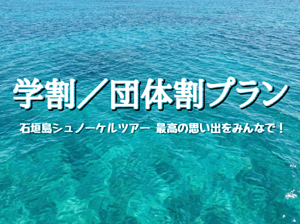 【学割/団体割はこちら】青の洞窟ツアー【ガイド同行】9:00am／1:00pm