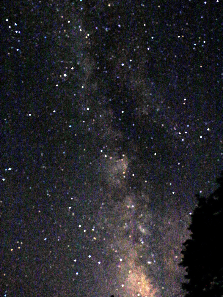 【ひとり旅応援♪／平日（月～木）・日曜限定プラン】静かなリトリートプラン