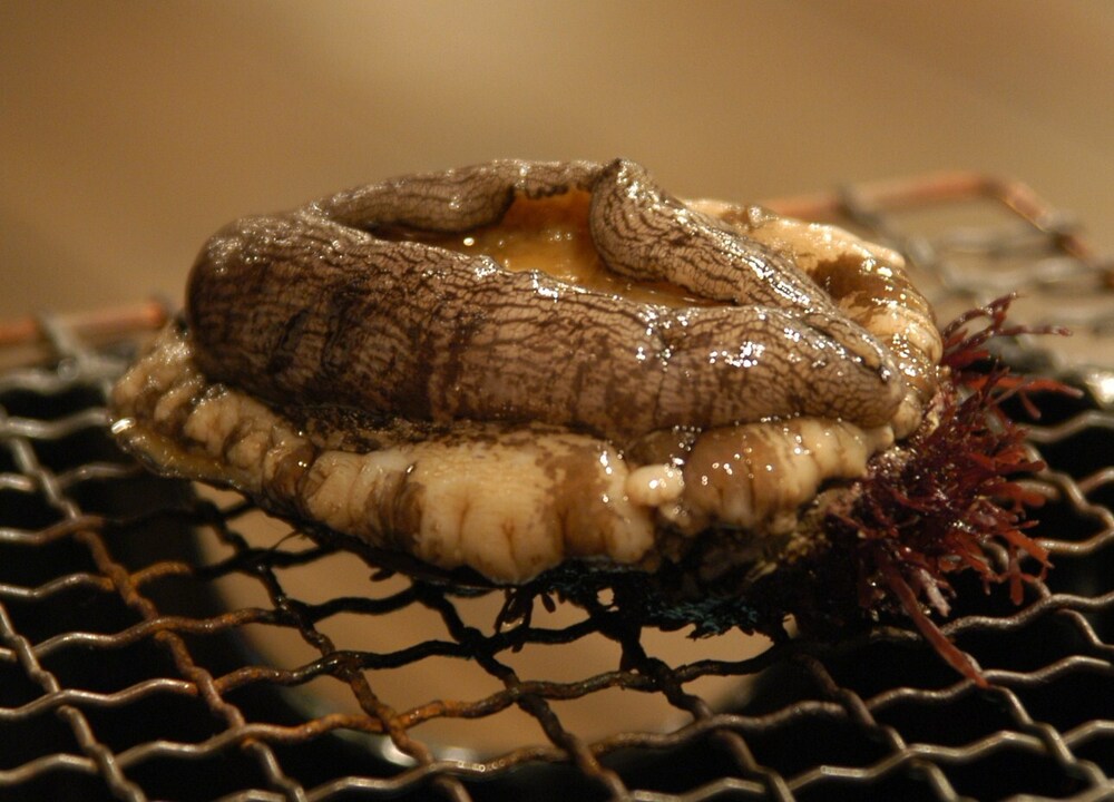 鮑～あわび～プラン