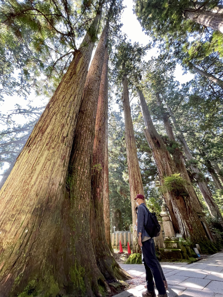 KOYASAN | Okunoin Morning Tour