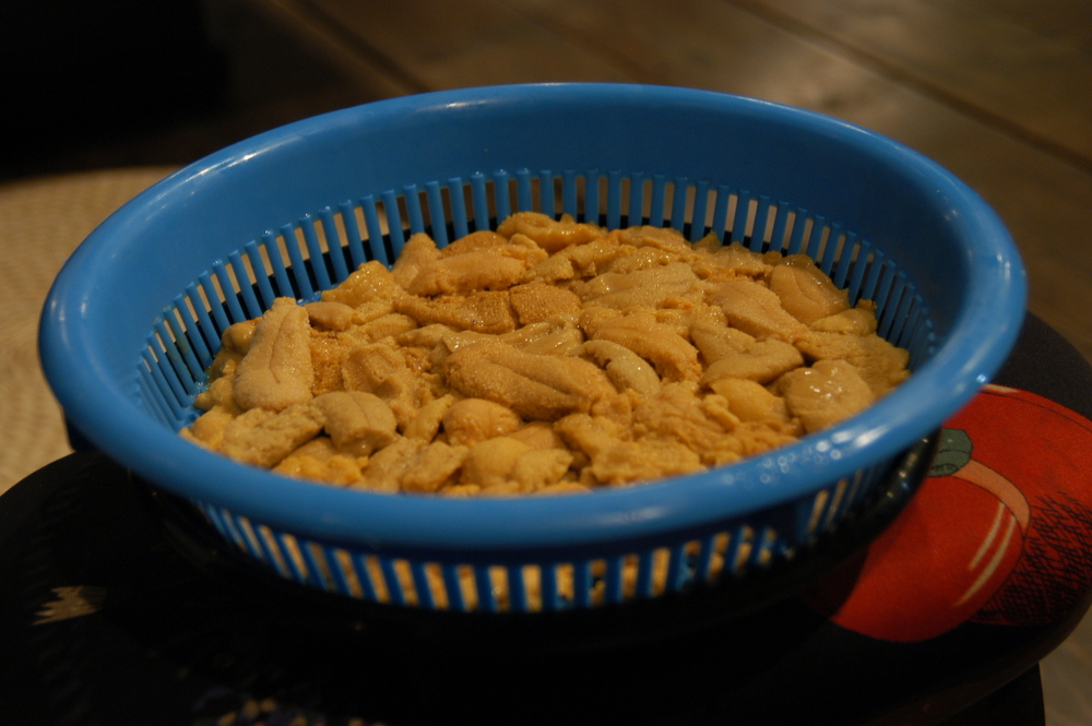 處理過的海膽計劃（標準基礎）