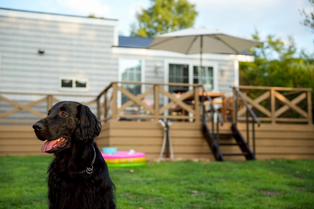 ★Ａｒｉe s★【宿泊者専用ドッグラン付き】ペットと泊まれるトレーラーハウス