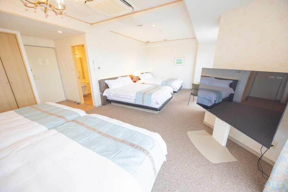 Deluxe room - デラックスルーム -